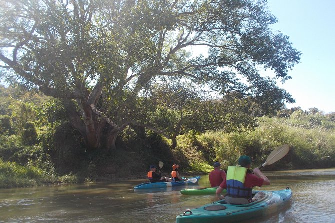 Full-Day Leisure River Kayaking Into Mae Taeng Forest Reserve From Chiang Mai - Inclusions and Logistics