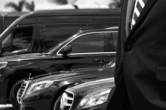 Full Day Luxury Car With Driver at Disposal in Hamburg - Professional Chauffeur Services Offered