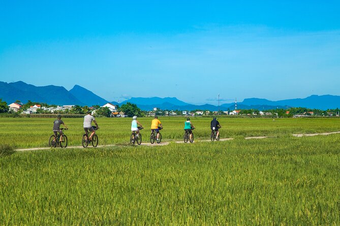 Full-Day My Son Sanctuary Bike Tour From Hoi an - Meeting Point Details