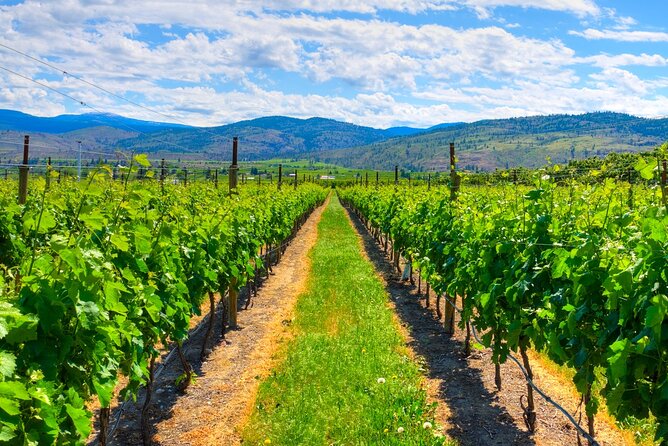 Full-Day Private Fraser Valley Wine Tour From Vancouver - Wine Tasting Experience