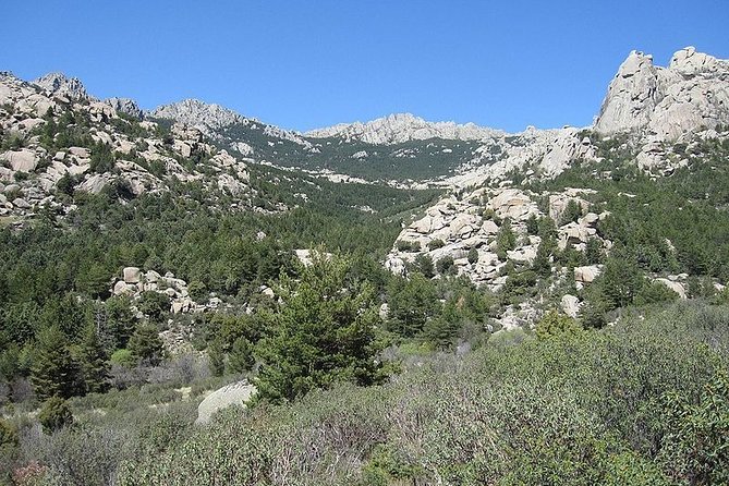 Full-Day Private Guided Tour to Guadarrama National Park - Lunch Options