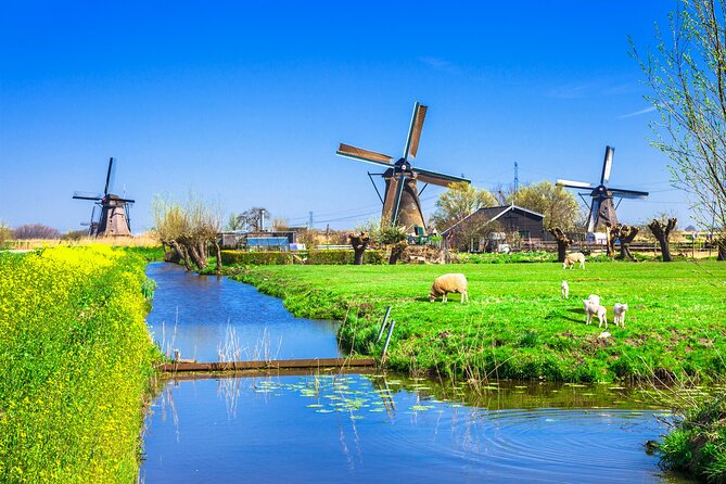 Full Day Private Kinderdijk Photography Tour From Rotterdam Port - Contact Information
