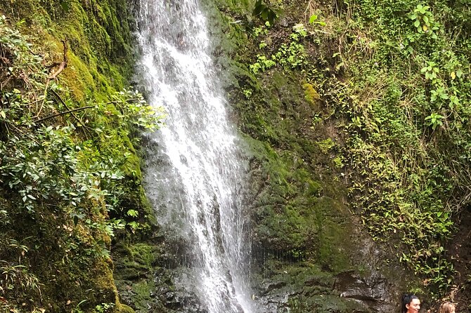 Full-Day Private or Small-Group Oahu Hike and Beach Tour  - Honolulu - Terrain and Weather Considerations