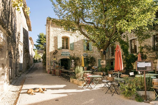 Full-Day Private Provence and Verdon Canyon Tour From Nice - Pricing and Payment Information