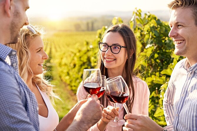 Full-Day Private Provence Wine Tour Experience From Nice - Cancellation Policy