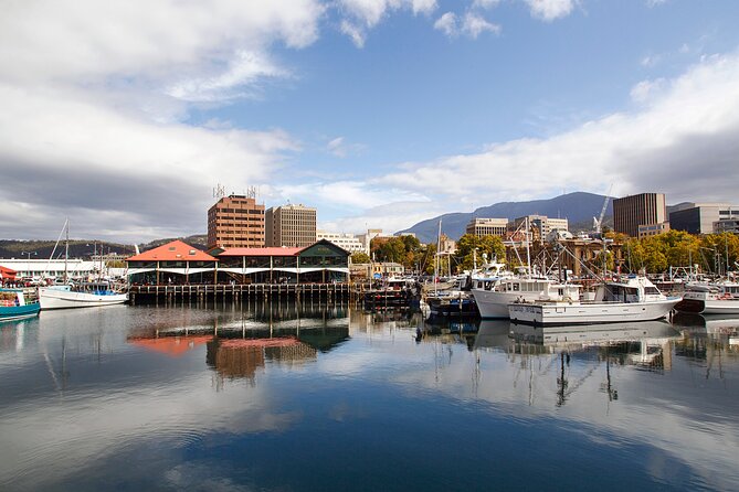 Full Day Private Shore Tour in Hobart From Hobart Cruise Port - Duration and Starting Time