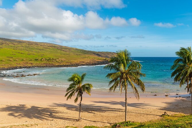 Full Day Private Tour: Factory of the Moai the Stone Giants - Tour Guide Information