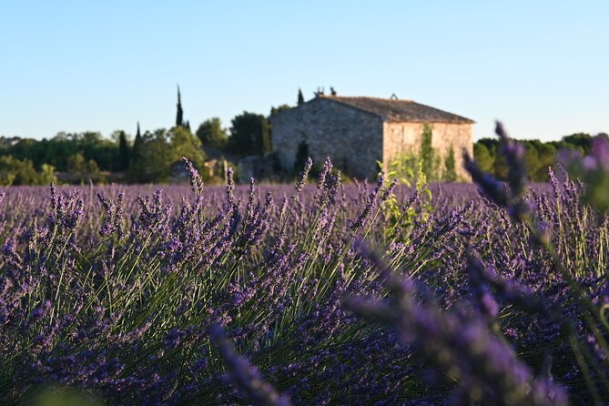 Full Day Private Tour in and Around Aix-En-Provence - Historical Sites Visited