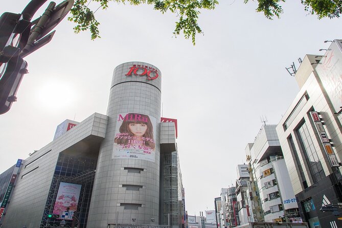 Full-Day Private Tour in New Shibuya - Itinerary for the Full-Day Tour