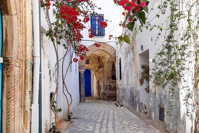 Full Day Private Tour Medina of Tunis, Carthage, Sidi Bousaid With Lunch - Expert Tour Guides