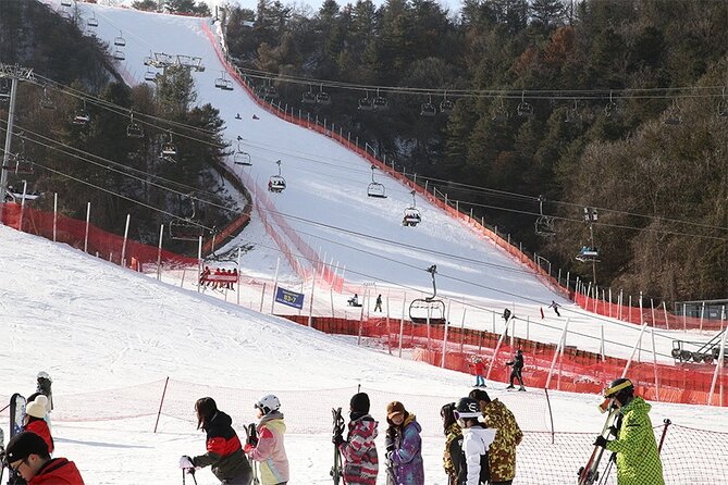 Full Day Private Tour Nami Island & Gangchon Elysian Ski - Inclusions Covered