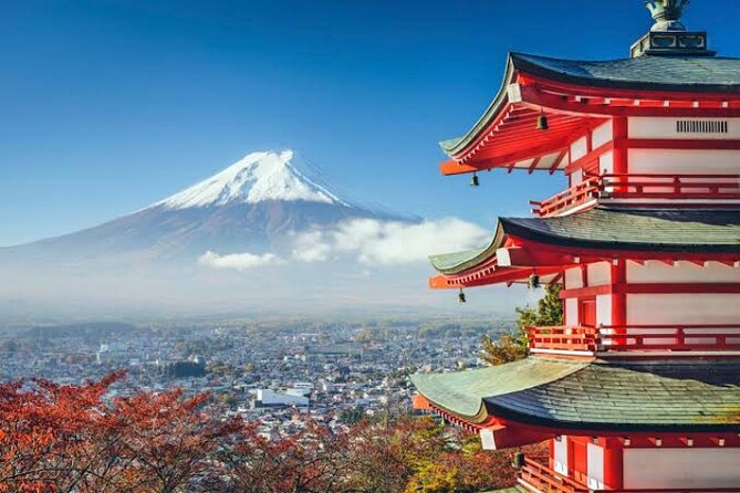 Full Day Private Tour With English Speaking Driver in Mount Fuji - Private Transportation Details