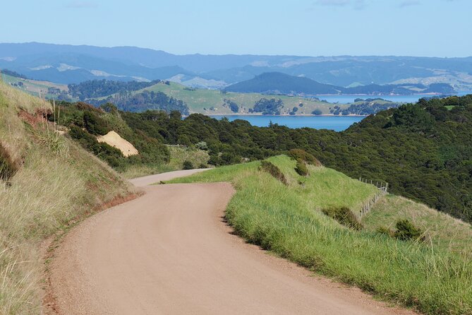 Full Day Private Waiheke Island Wine Tour Including Lunch - Itinerary Overview