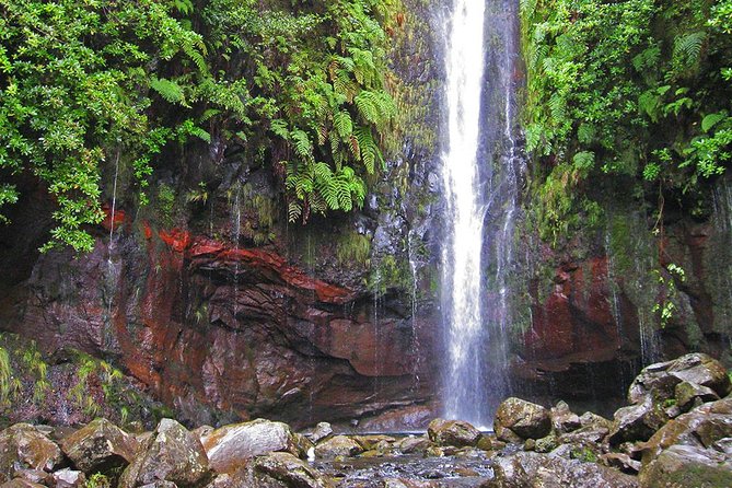 Full-Day Rabaçal Levada Walk From Funchal - Customer Reviews