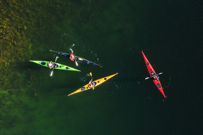 Full-Day Sea Kayaking Experience in Pargas - Meeting and Pickup