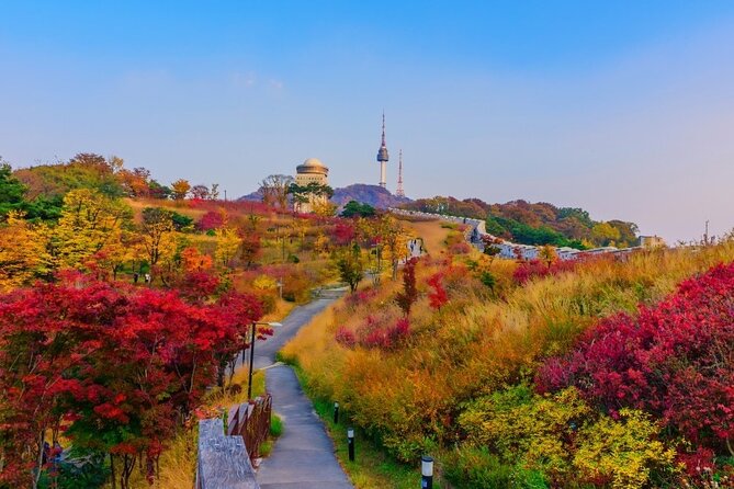 Full-Day Seoul Autumn Foliage Private Guided Tour - Autumn Foliage Season in Seoul