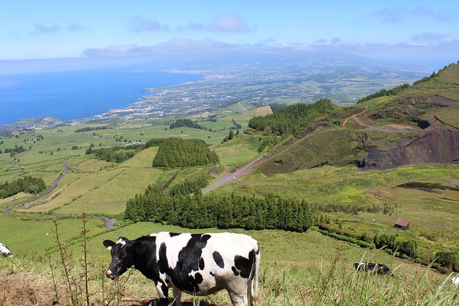 Full Day Sete Cidades and Lagoa Do Fogo PRIVATE 4WD Tour With Lunch - Logistics and Reservations