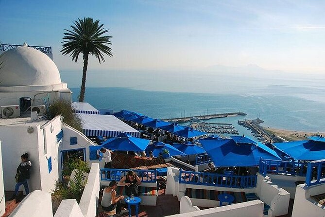 Full-Day Shore Excursion Private Tour in Tunisia Carthage ,Medina, Sidi Bou Said - Itinerary Overview