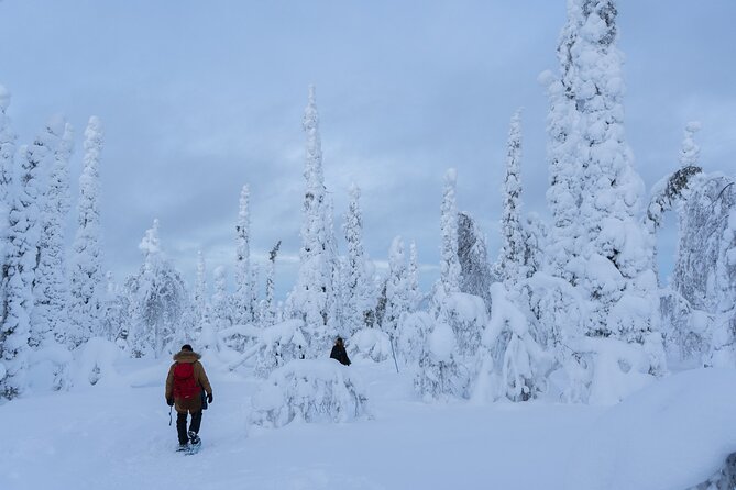 Full-Day Snowshoeing Adventure in Amethyst Mine Pyhä Luosto - Explore Pyhä-Luosto National Park