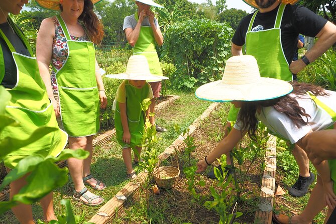 Full Day Thai Cooking at Farm (Chiang Mai) - Pickup and Drop-off Service