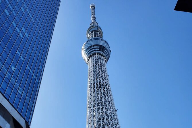 Full Day Tokyo Personalized Private Sightseeing W/English Driver - Review Insights and Ratings Analysis