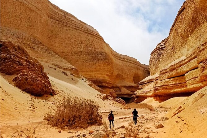 Full Day Tour Canyon of the Lost in Ica Desert - Transportation Details