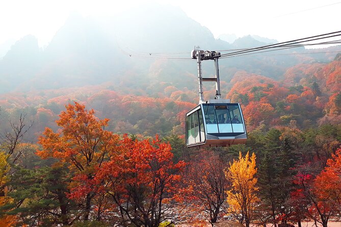 Full-Day Tour in Seoraksan & Nami (Rail Bike Option) - Tour Inclusions and Amenities