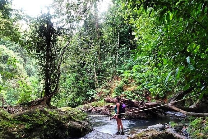 Full-Day Tour in Sirena and San Pedrillo With Lunch - Ranger Stations Visited