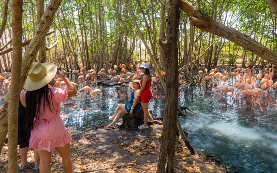 Full-Day Tour- National Aviary and Playa Blanca Bioluminescent Plancton - Experience Highlights