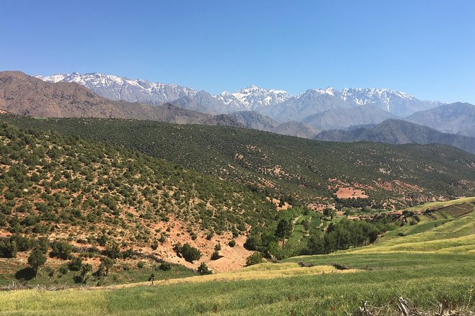 Full Day Tour Ourika Valley and Atlas Mountains - Itinerary Highlights and Inclusions