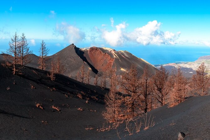 Full Day Tour With Hiking to the Tajogaite Volcano - Visitor Reviews