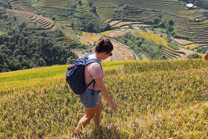 Full Day Trekking Mu Cang Chai - Itinerary Overview