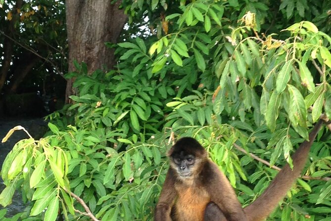 Full-Day Trip to Nicaragua - Meal and Refreshment Stops