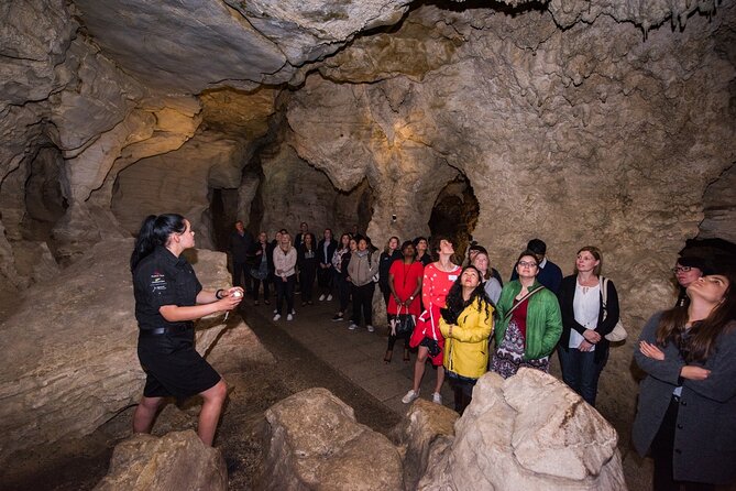 Full Day Waitomo Glow Worm Cave and Kiwi House Tour - Departure Information