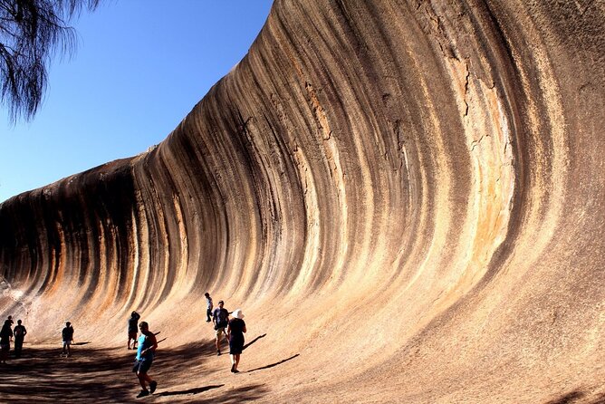 Full Day Wave Rock and Pinnacles Tour - Inclusions
