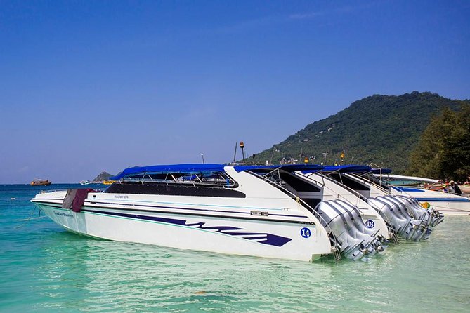 Full Moon Party Round Trip Ticket From Koh Samui (By Speed Boat) - Reviews and Recommendations Overview