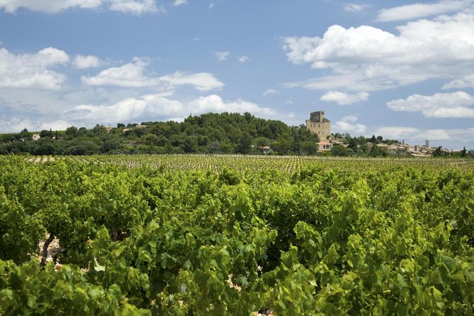Full Private Day Avignon Chateuneuf Du Pape Wine Tasting - Exclusive Vineyard Tours and Tastings
