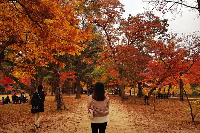 Fullday Nami Island & Petit France From Seoul - Travel Tips