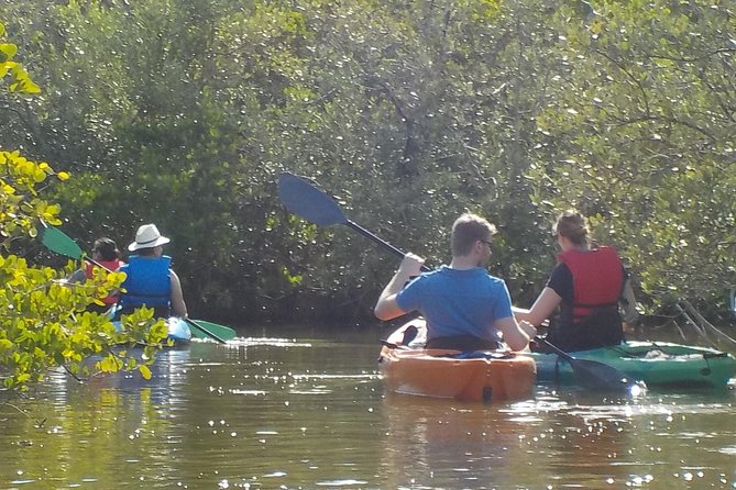 Fully Guided Kayaking Backwater Manatee and Dolphin Tour - Inclusions and Exclusions