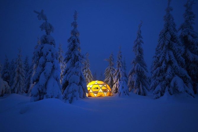 Fun and Adventure: Sledge Run in Czech Mountains - Family-Friendly Activity