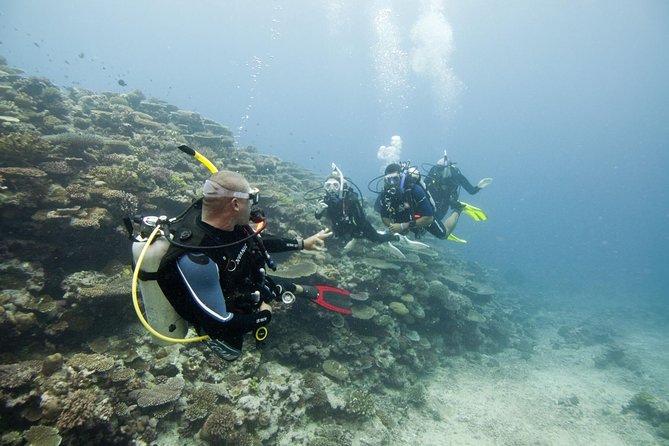 Fun Dives For Certified Divers - Wreck Diving Adventures