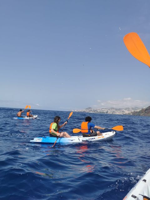 Funchal Boat Trip With Kayak Experience - Location Features