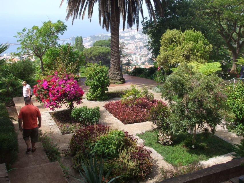 Funchal: Botanical Garden in a Tuk-Tuk Tour - Garden Exploration