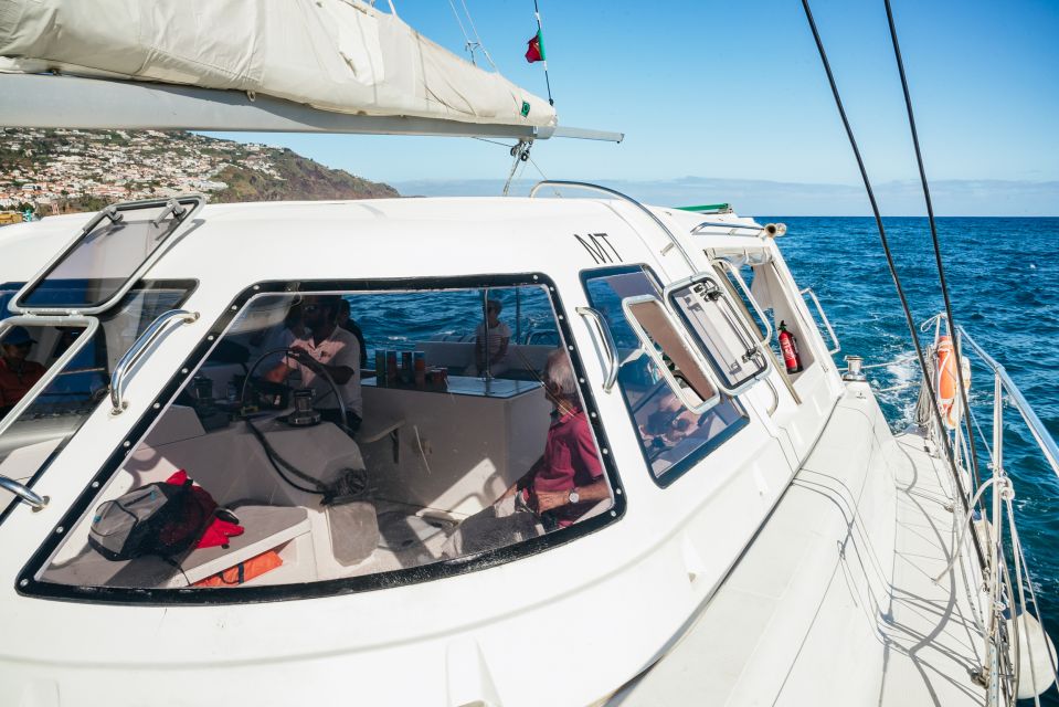 Funchal: Dolphin and Whale Watching by Luxury Catamaran - Experience Highlights
