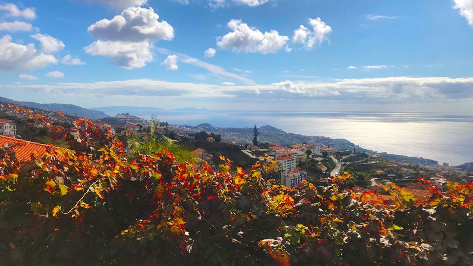 Funchal: Northern Levada Walking Tour - Booking and Payment Details