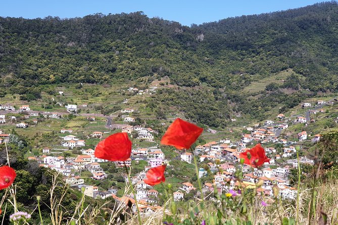 Funchal Small-Group Marocos To Mimosa Valley Hike