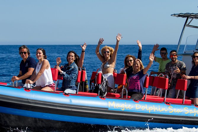 Funchal Speedboat Sealife Tour  - Madeira - Exciting Tour Highlights in Madeira