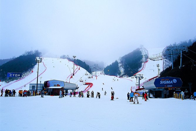 Gangchon Elysian Ski Day Trip From Seoul - Ski Experience Details