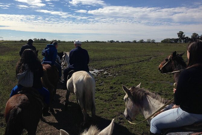 Gaucho Day Tour Don Silvano Estancia From Buenos Aires - Guest Testimonials