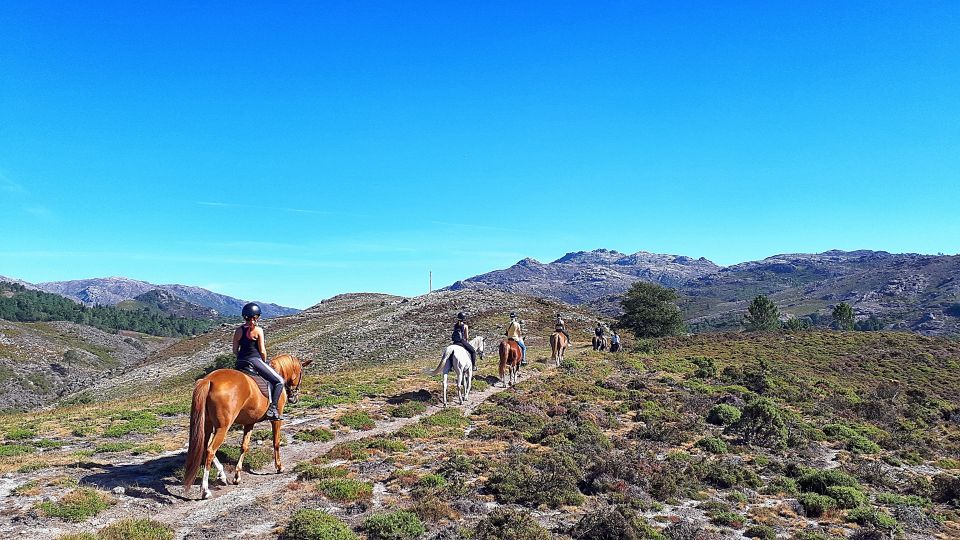 Gerês Braga: Horseback Ride in Peneda Gerês National Park - Experience Highlights